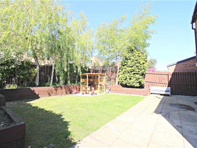 Picture 20
